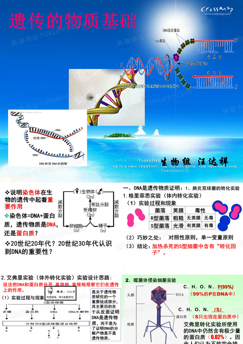 DNA是主要的遗传物质