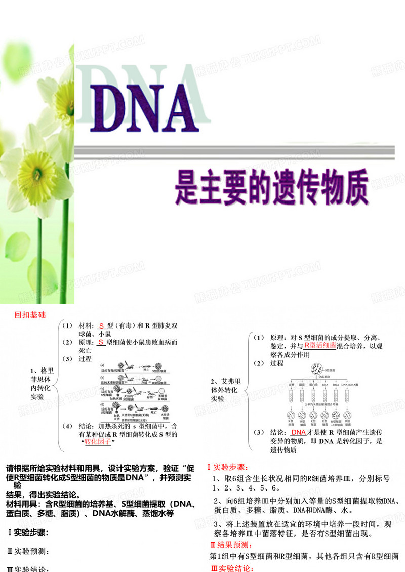 DNA是主要的遗传物质