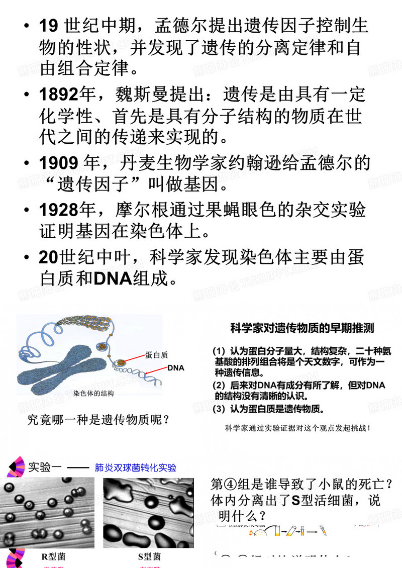 DNA是主要的遗传物质