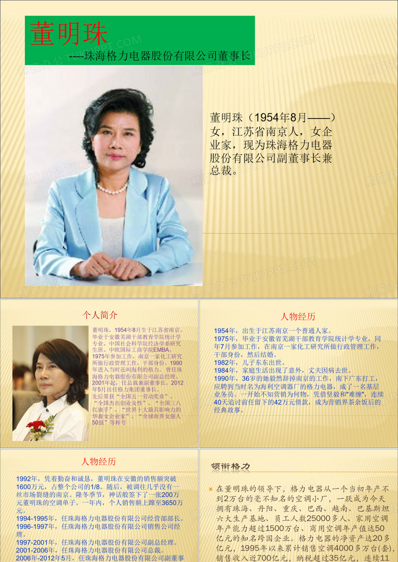 董明珠简历分析