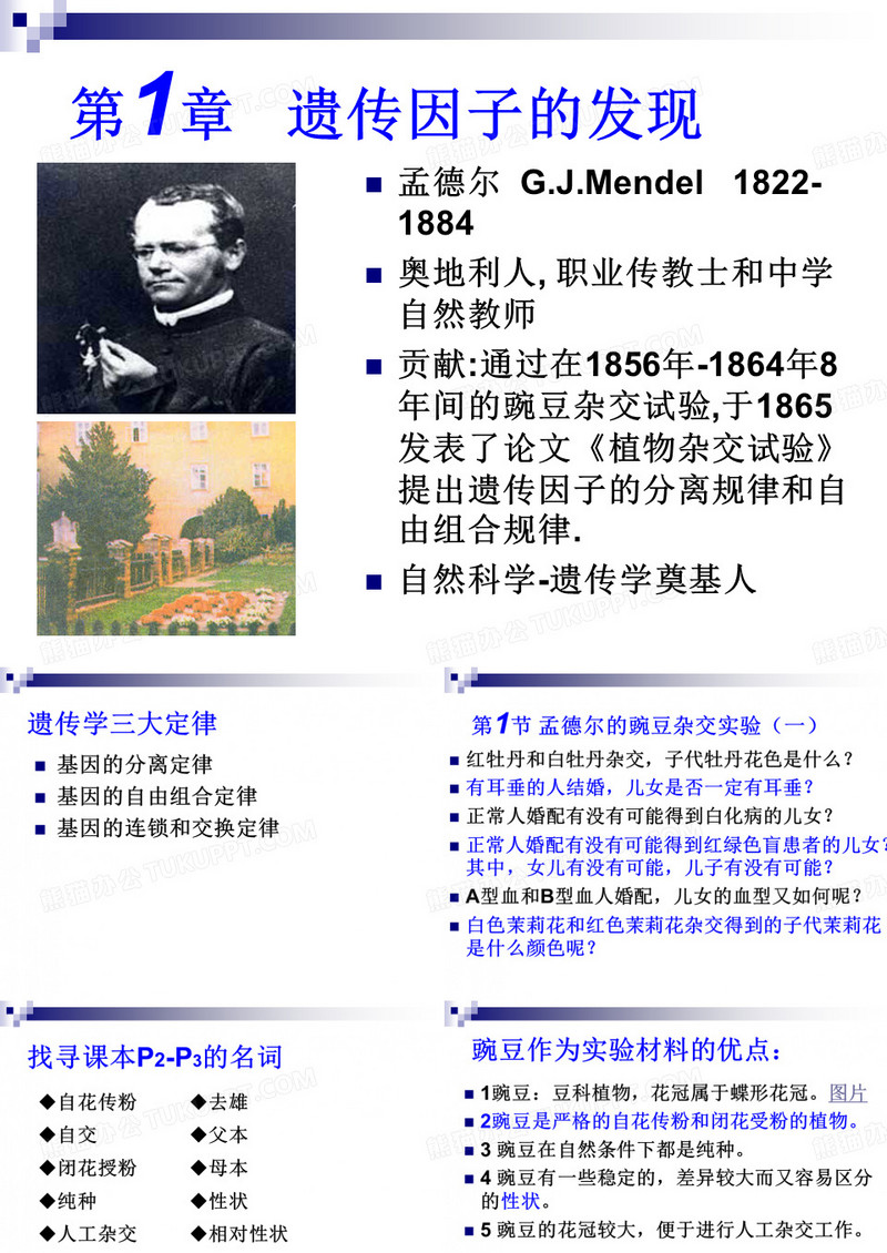 遗传因子的发现