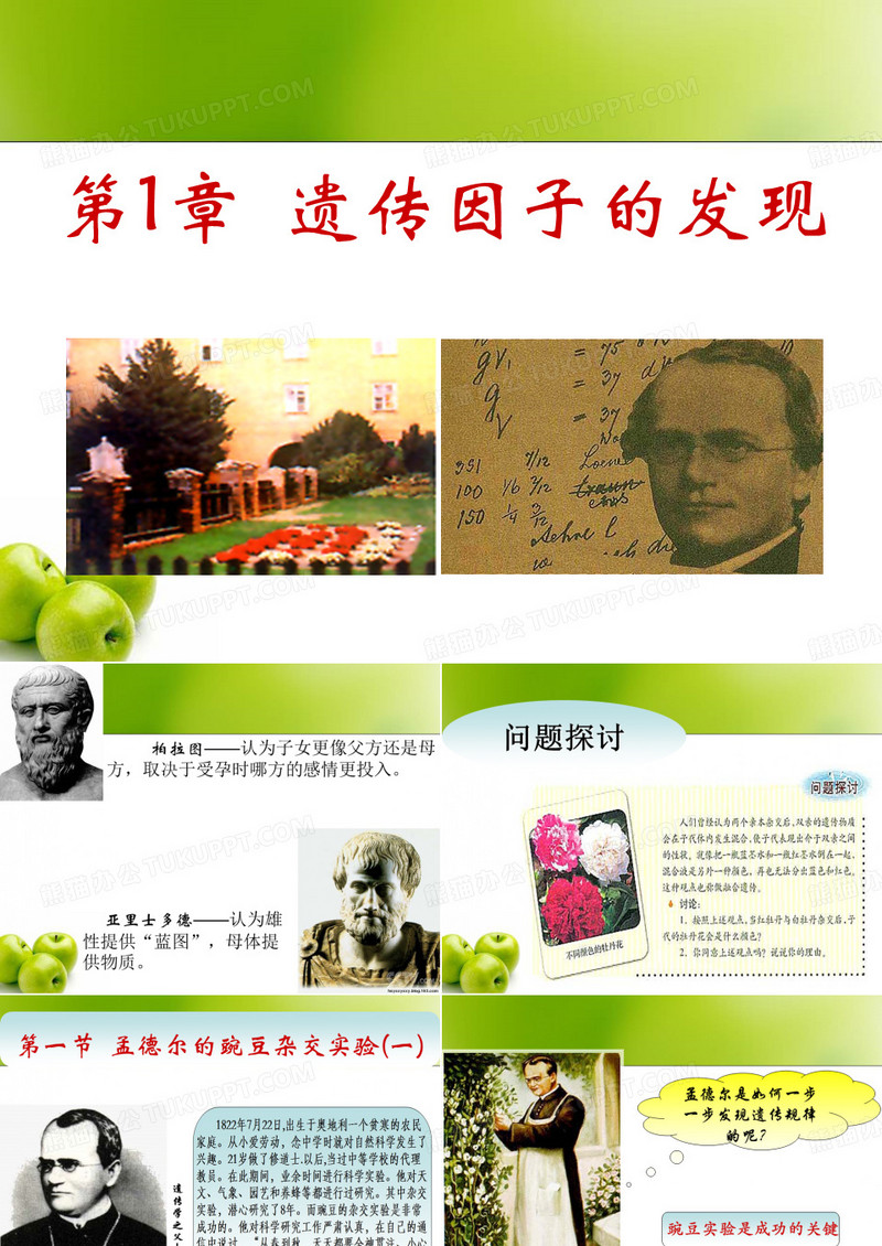 遗传因子的发现
