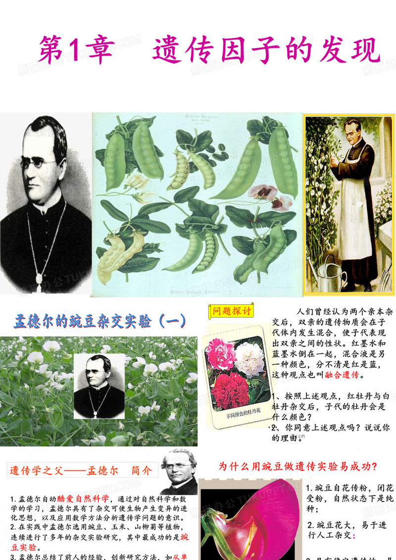 《遗传因子的发现》