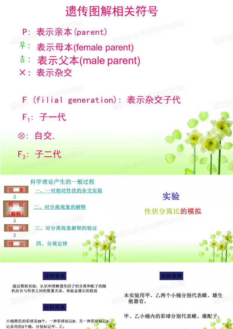遗传因子的发现