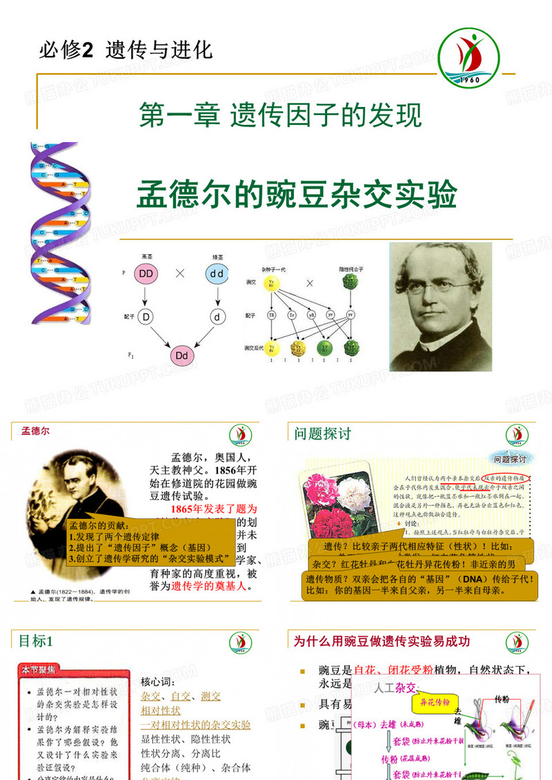 遗传因子的发现