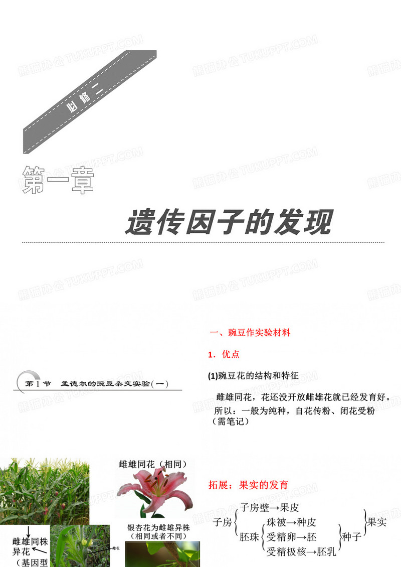 遗传因子的发现.ppt