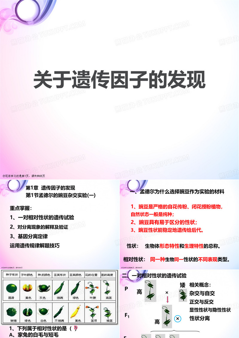 遗传因子的发现课件