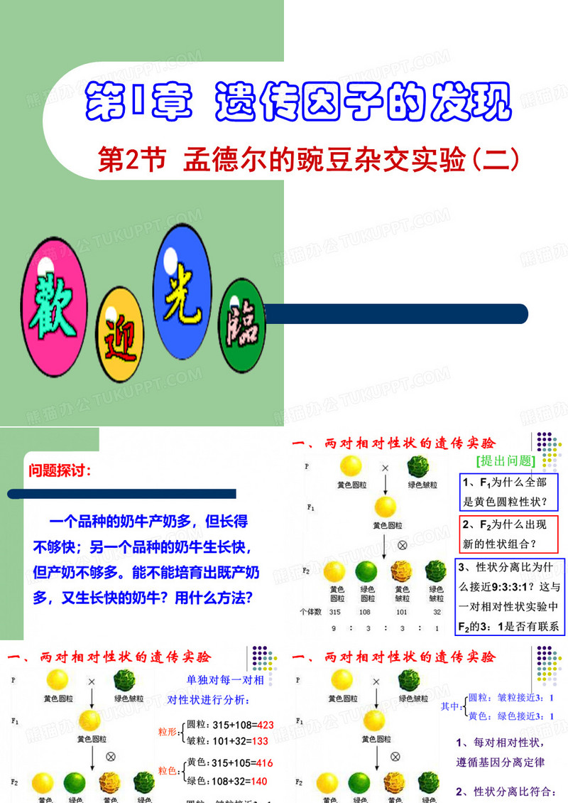 高中生物——遗传因子的发现