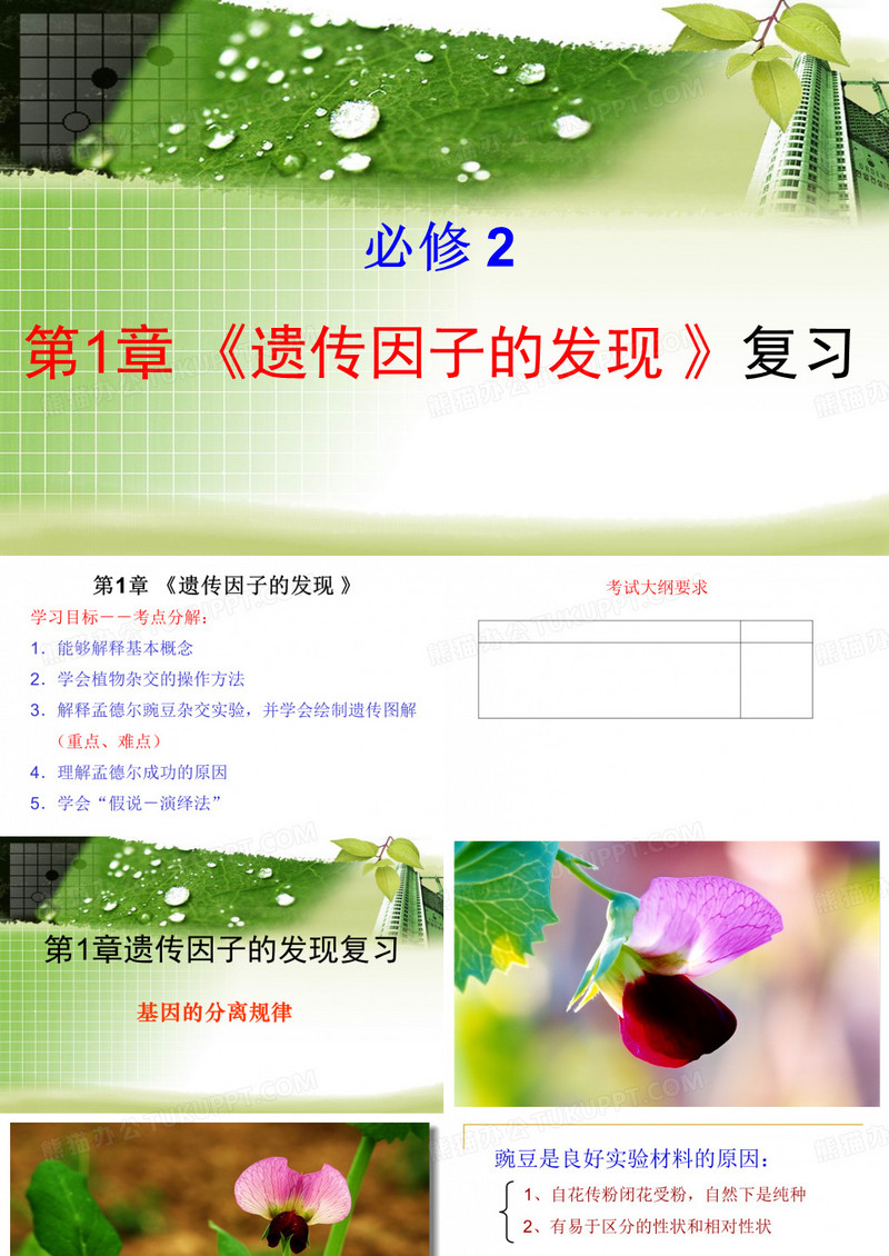 复习课件：《遗传因子的发现》