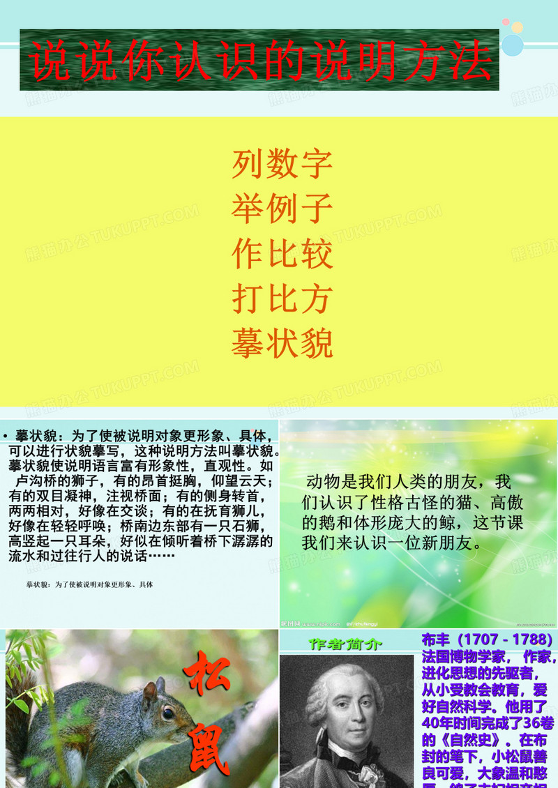 松鼠-完整版PPT课件