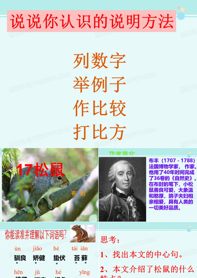 松鼠公开课-完整版PPT课件