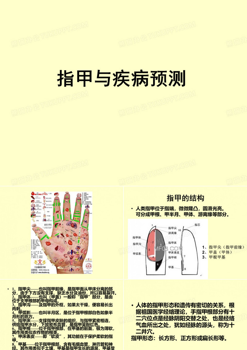 指甲与疾病预测