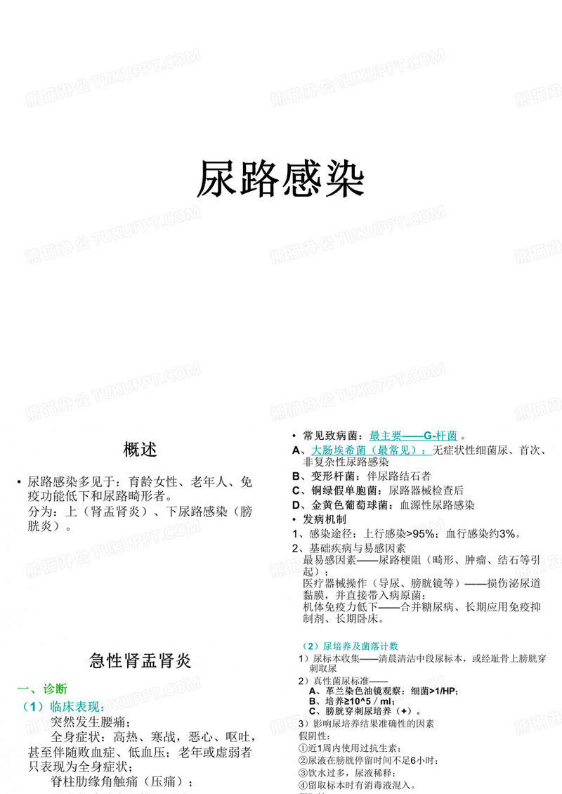 泌尿系感染