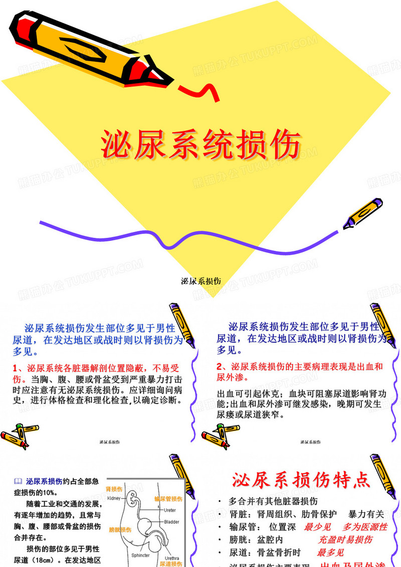 泌尿系损伤