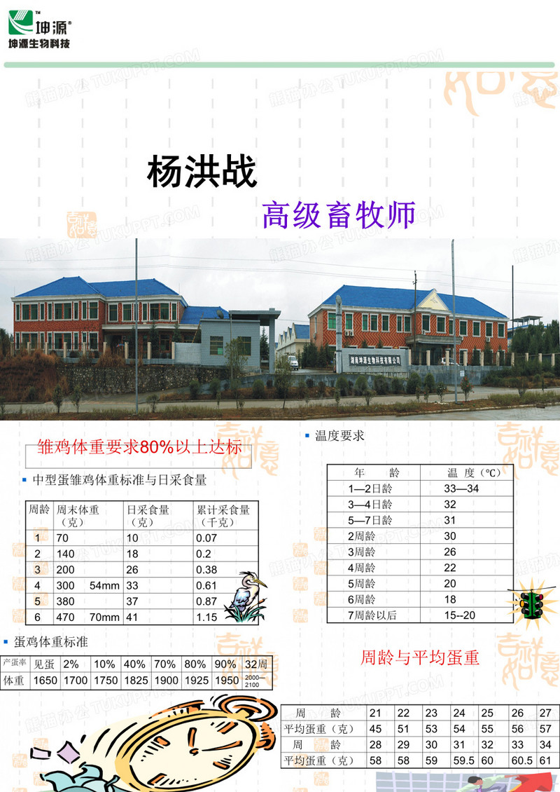 蛋鸡消毒