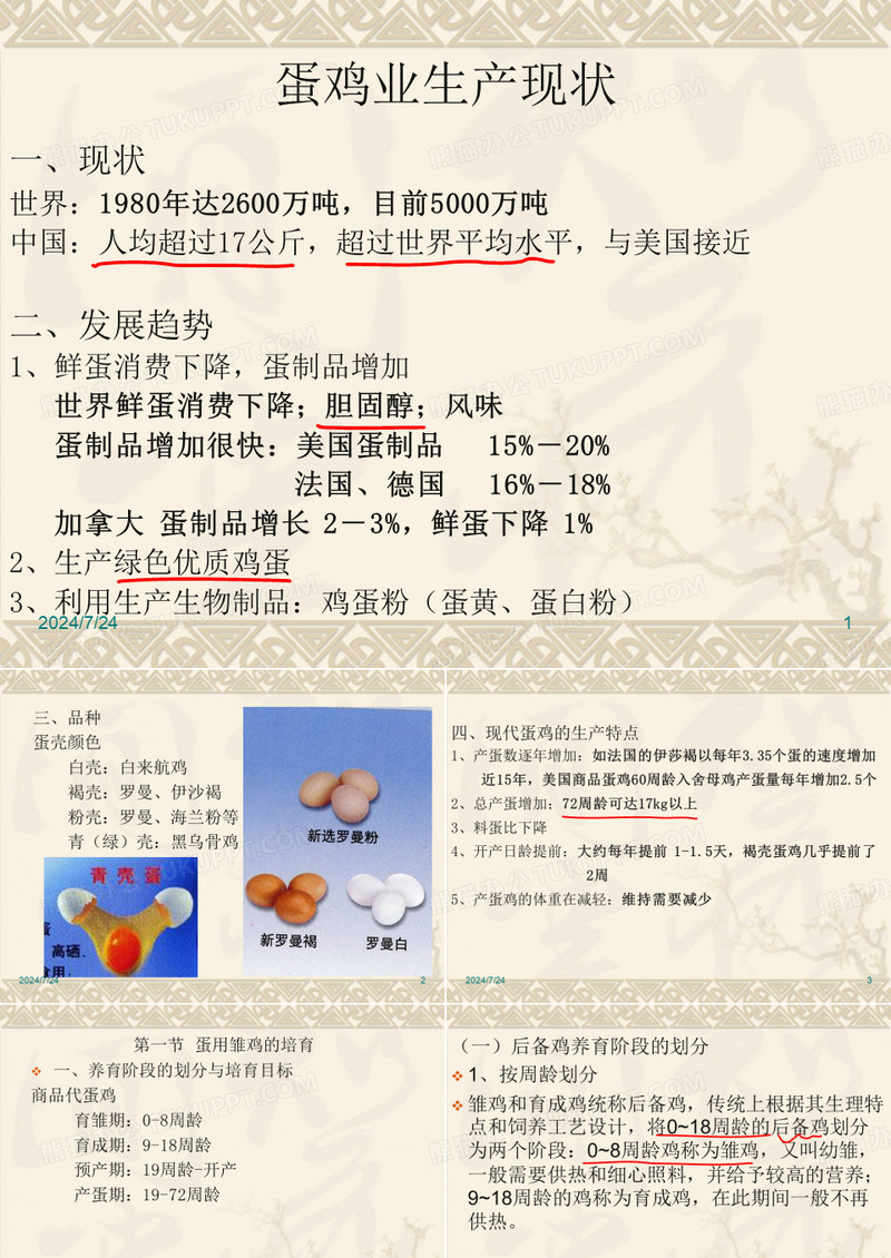 蛋鸡生产
