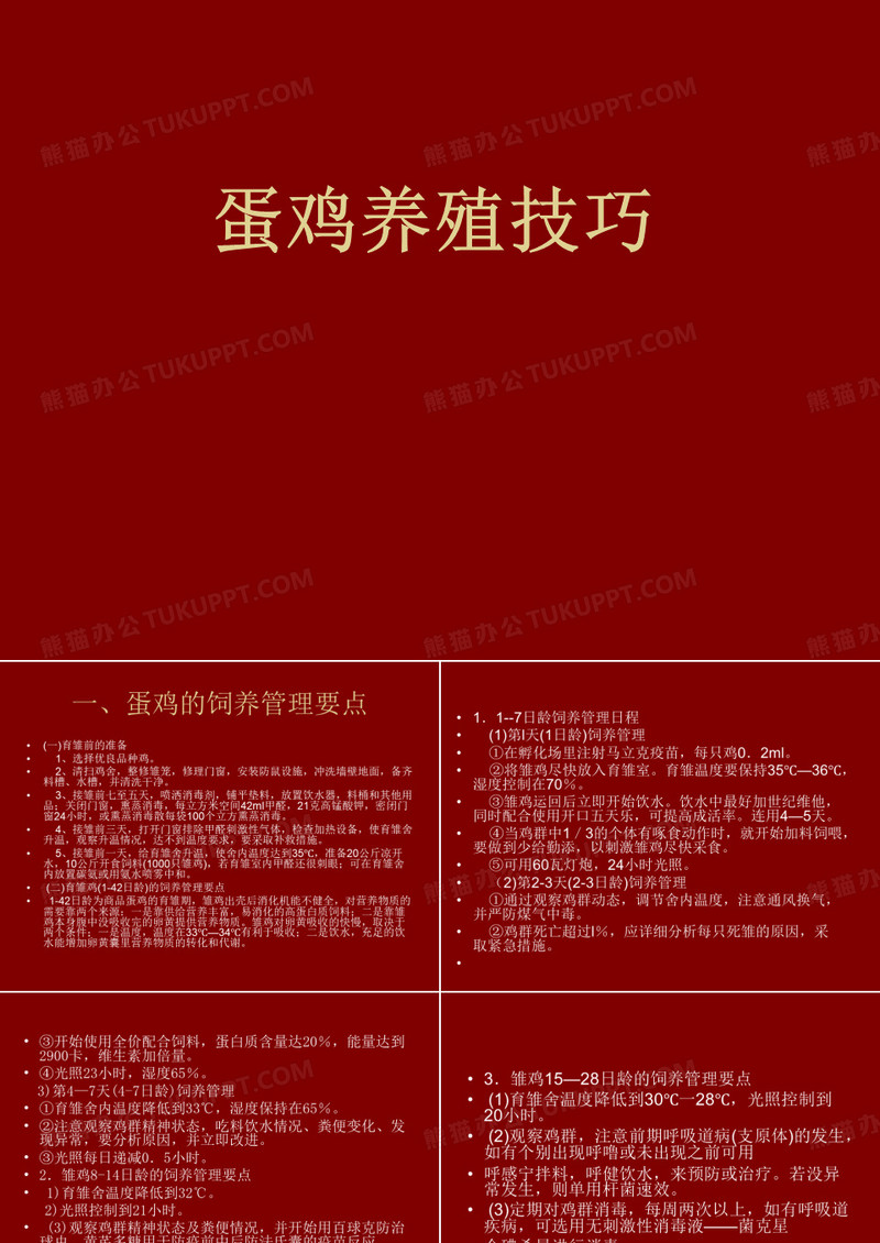 蛋鸡养殖