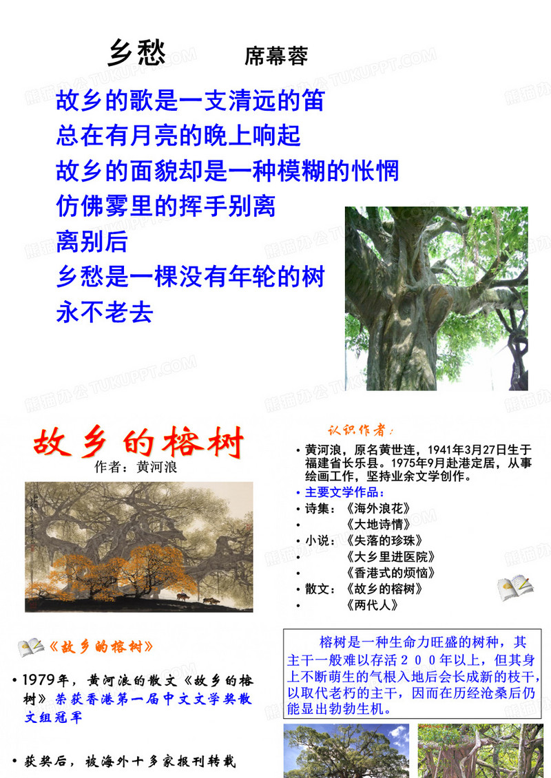 故乡的榕树