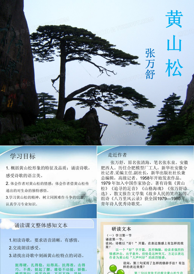 《黄山松》课件