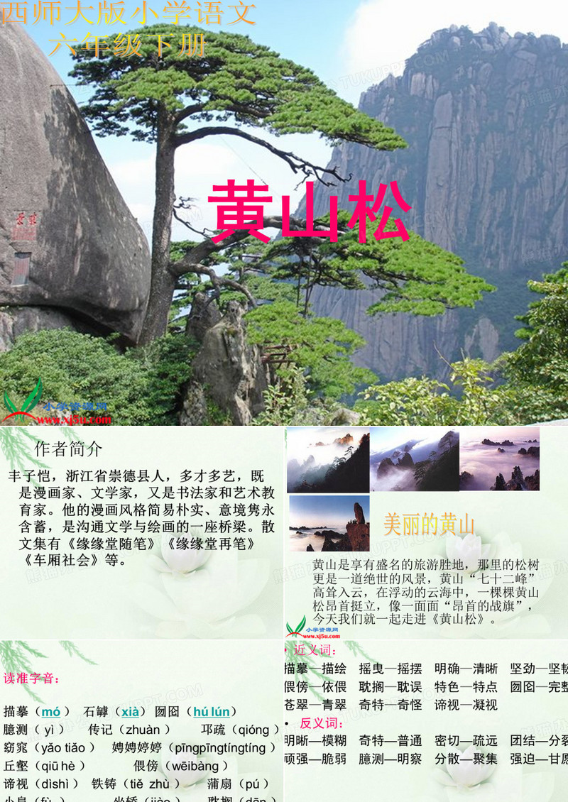 4《黄山松_》PPT课件