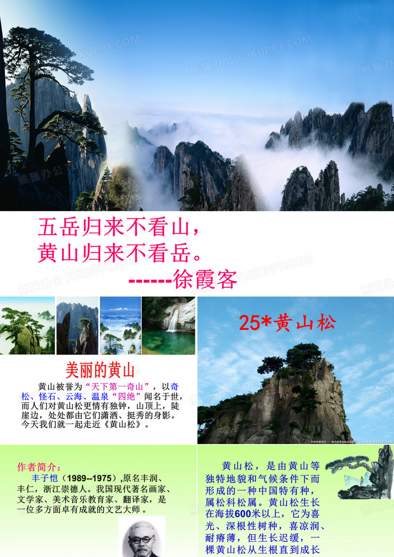 25《黄山松》课件ppt