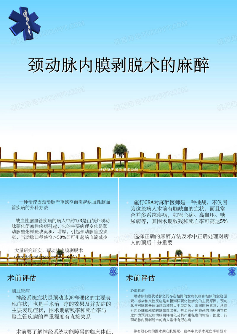 颈动脉内膜剥脱术麻醉