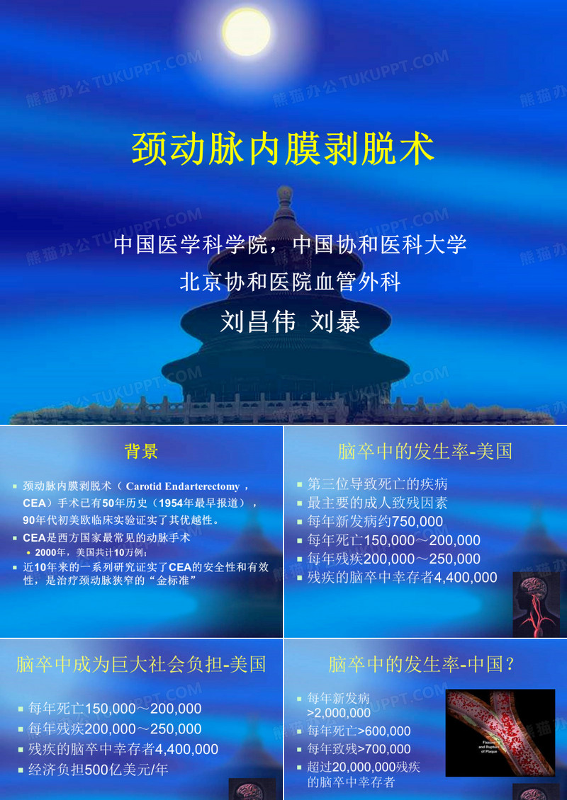 颈动脉内膜剥脱术