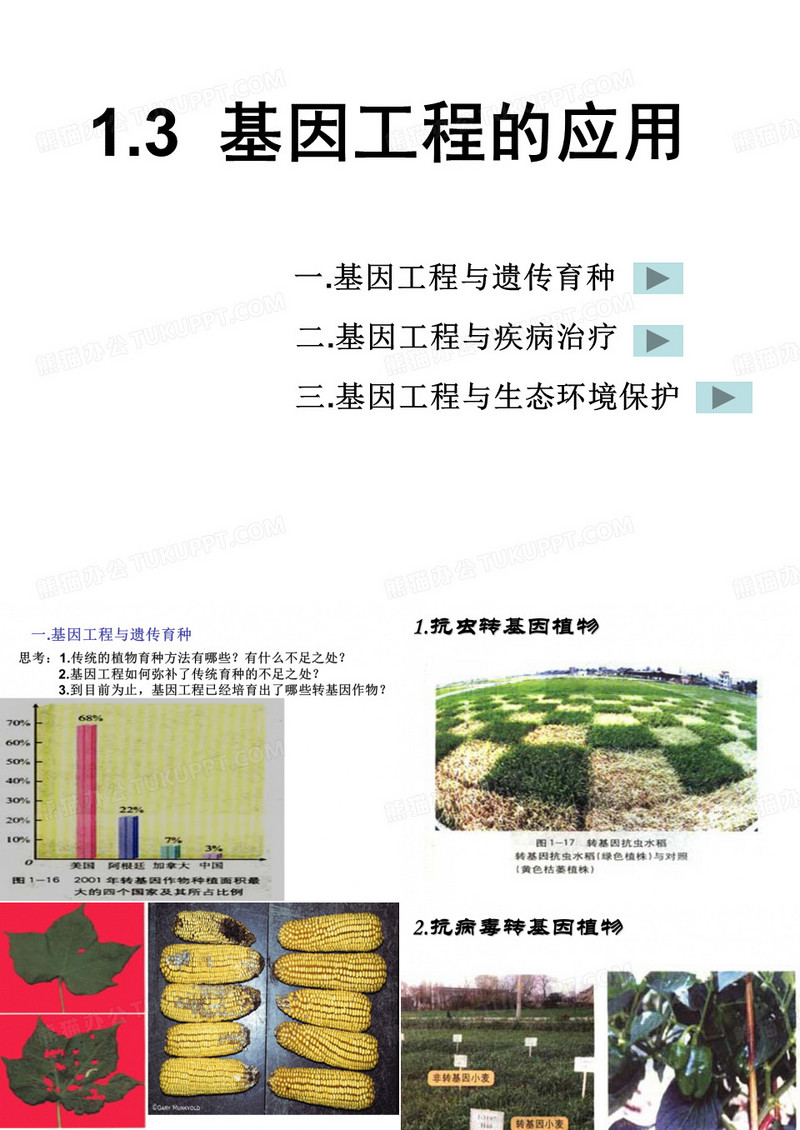 基因工程的应用