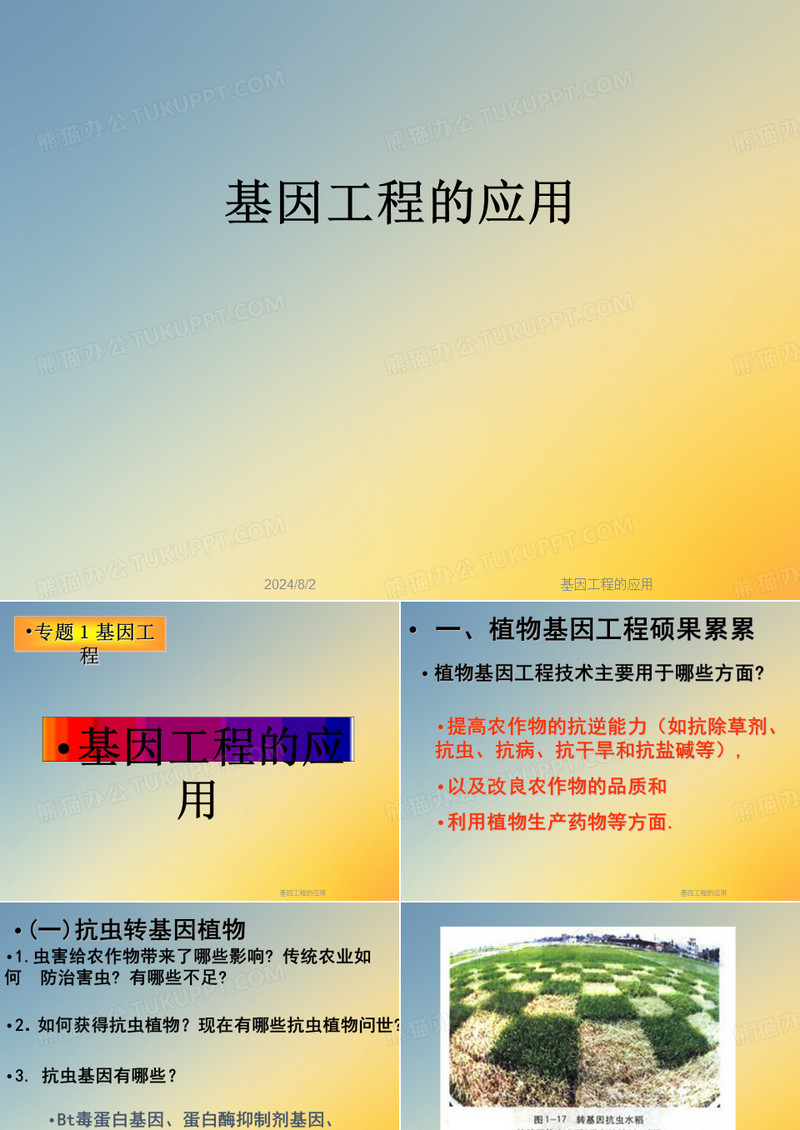基因工程的应用