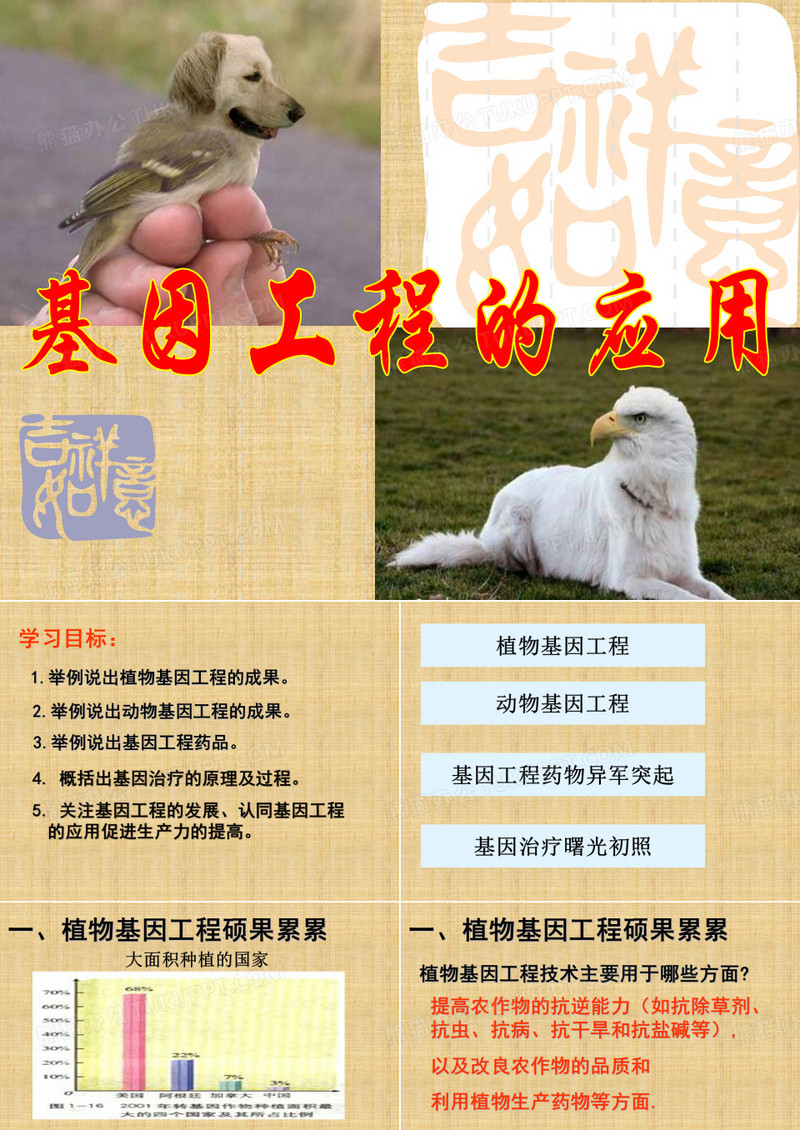 基因工程的应用