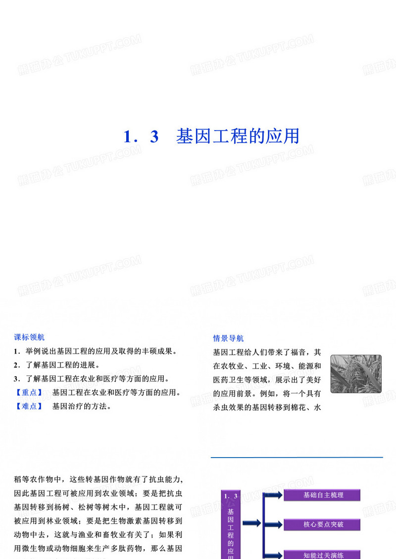基因工程的应用