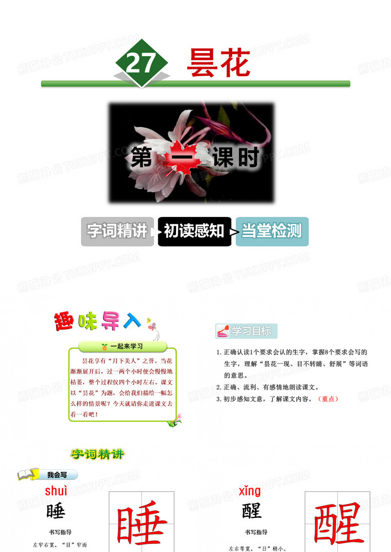 昙花-PPT