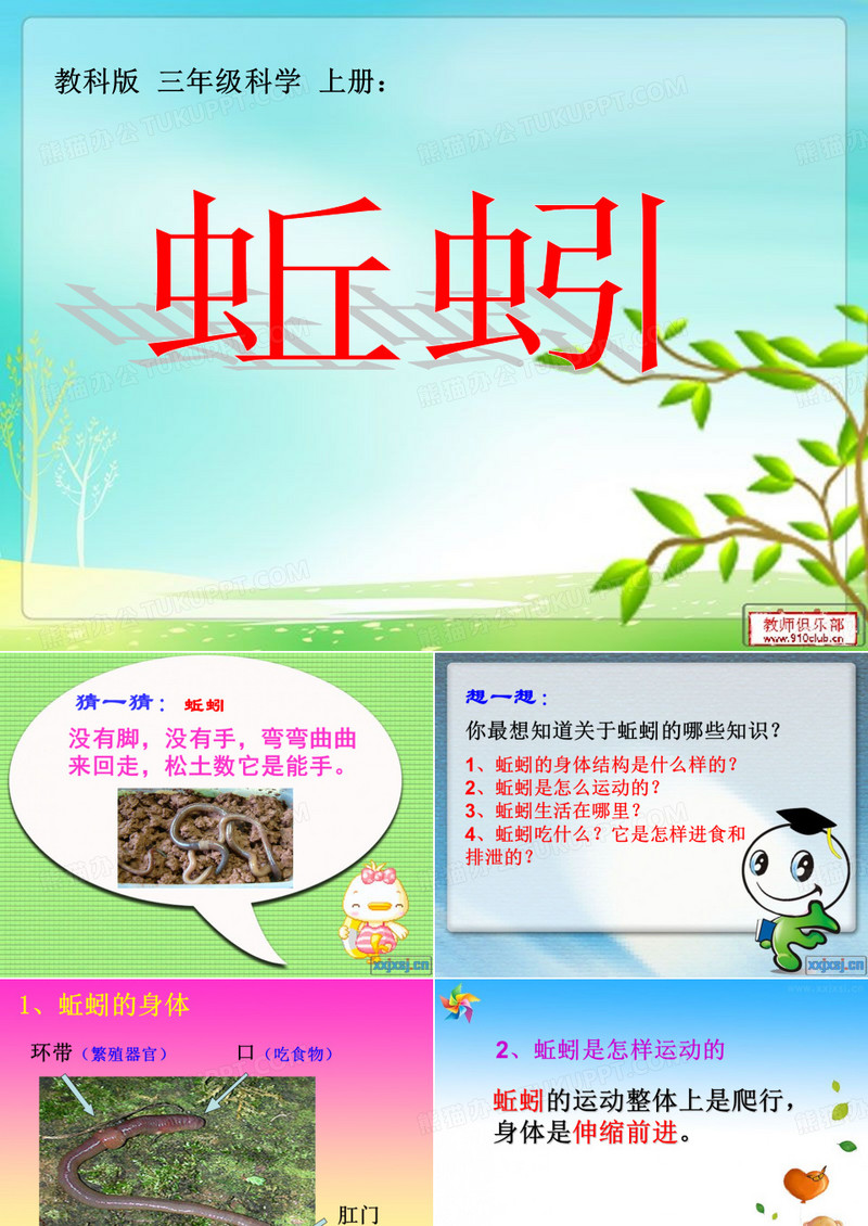 三年级科学上册《蚯蚓》课件
