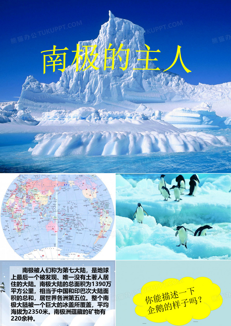 15 南极的主人ppt公开课优质课件(最新苏教版一年级下)
