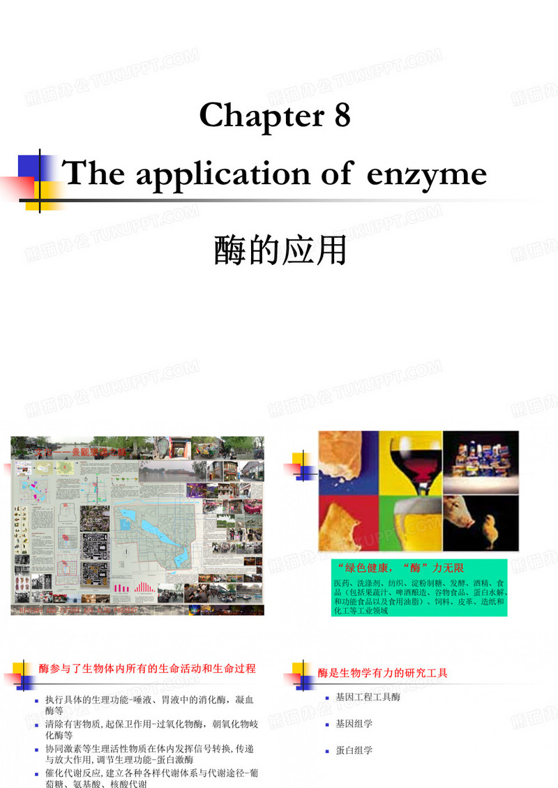 南京林业大学酶工程-酶应用