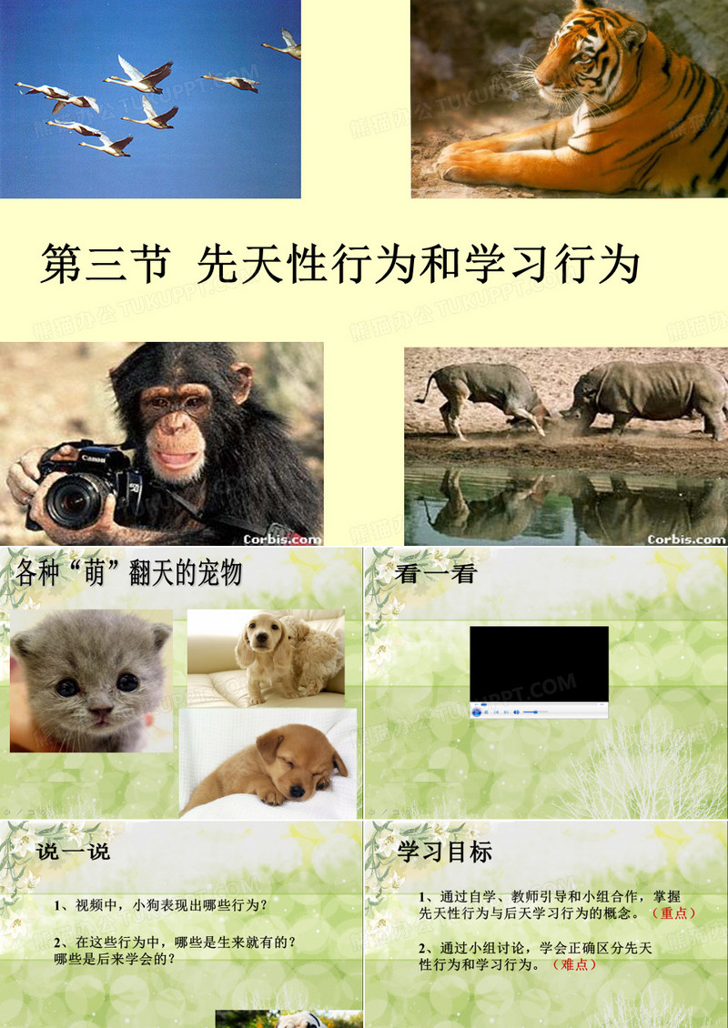 先天性行为和学习行为