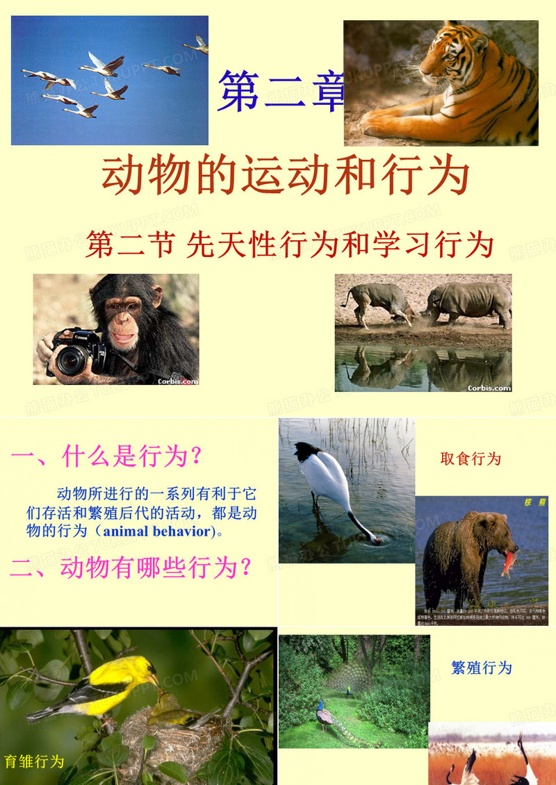 先天性行为和学习行为