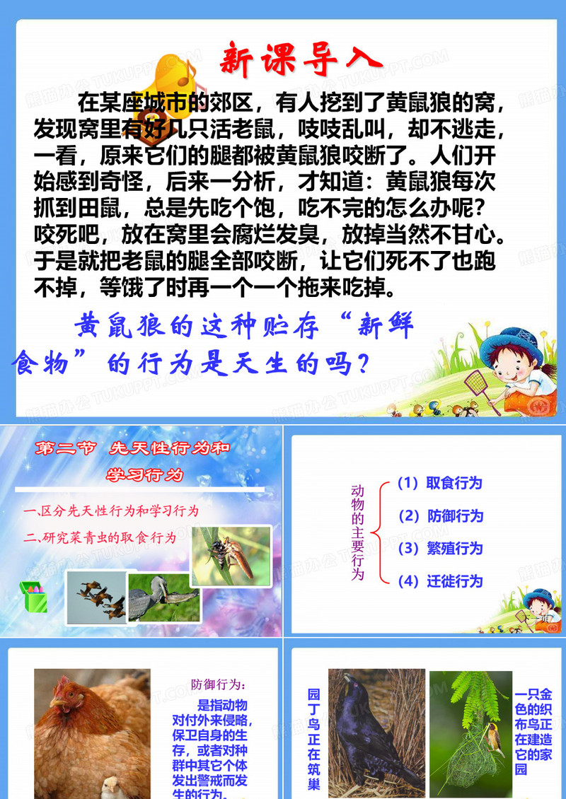 先天性行为和学习行为