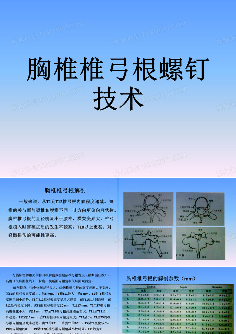 胸椎椎弓根解剖与临床
