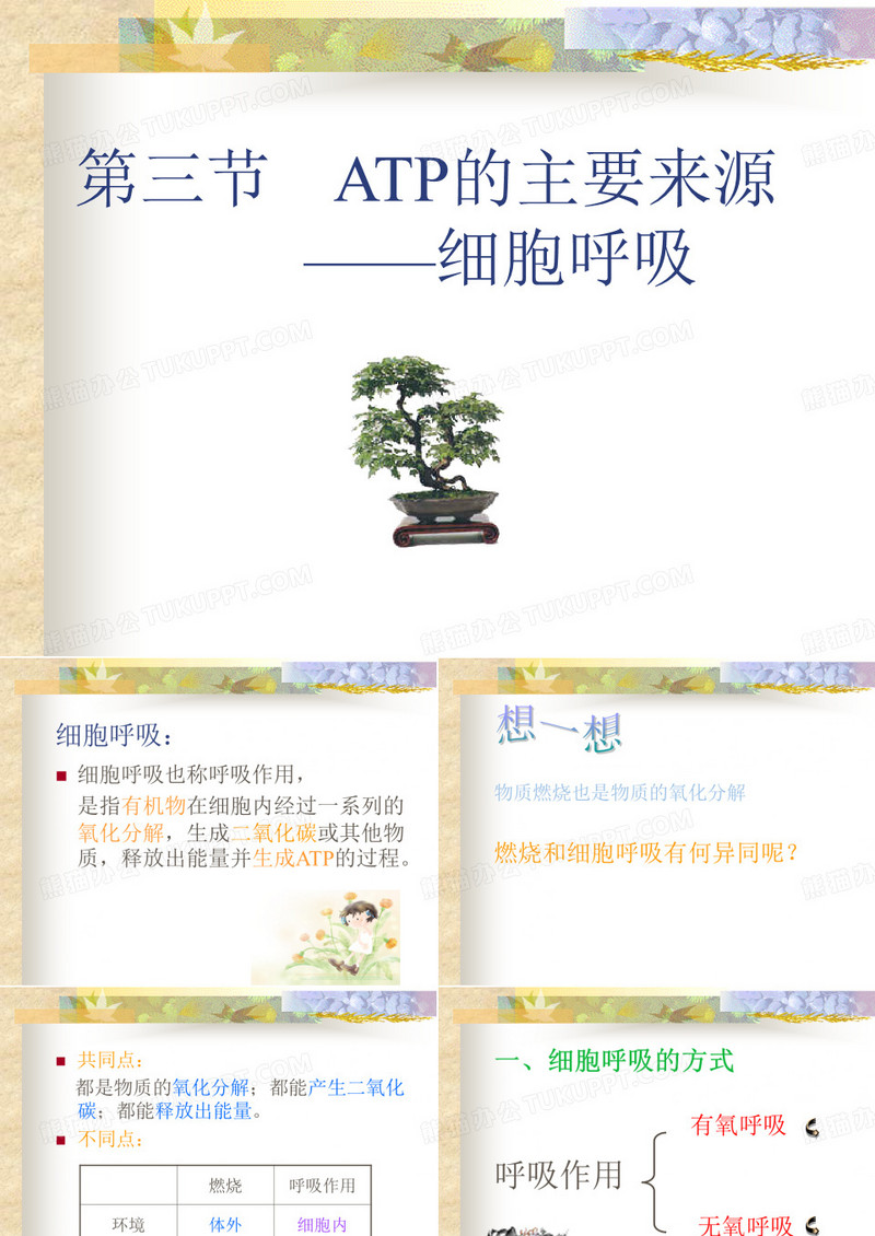 ATP的主要来源——细胞呼吸