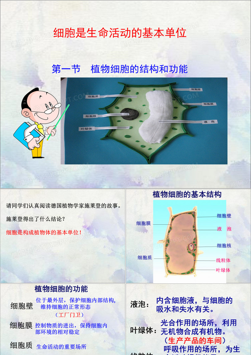 细胞是生命活动的基本单位