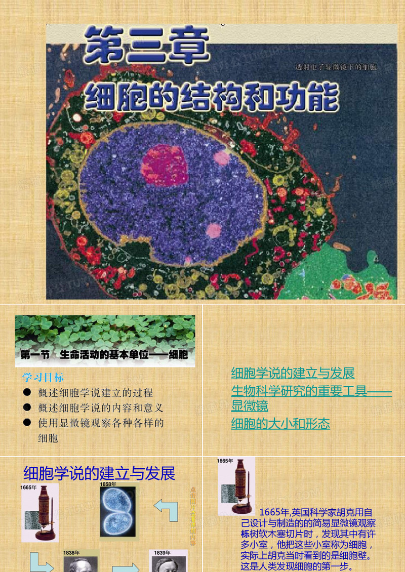 生命活动的基本单位细胞