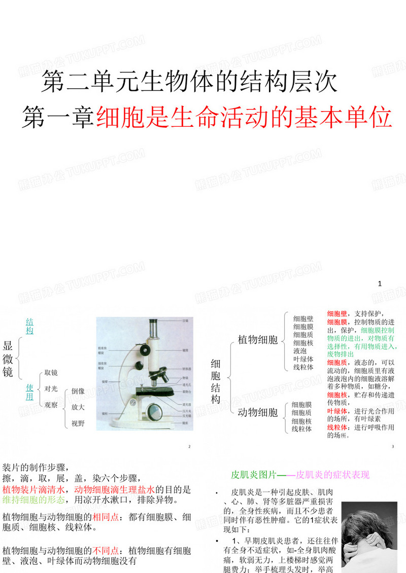 细胞是生命活动的基本单位