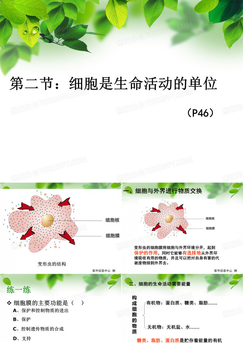 细胞是生命活动的基本单位