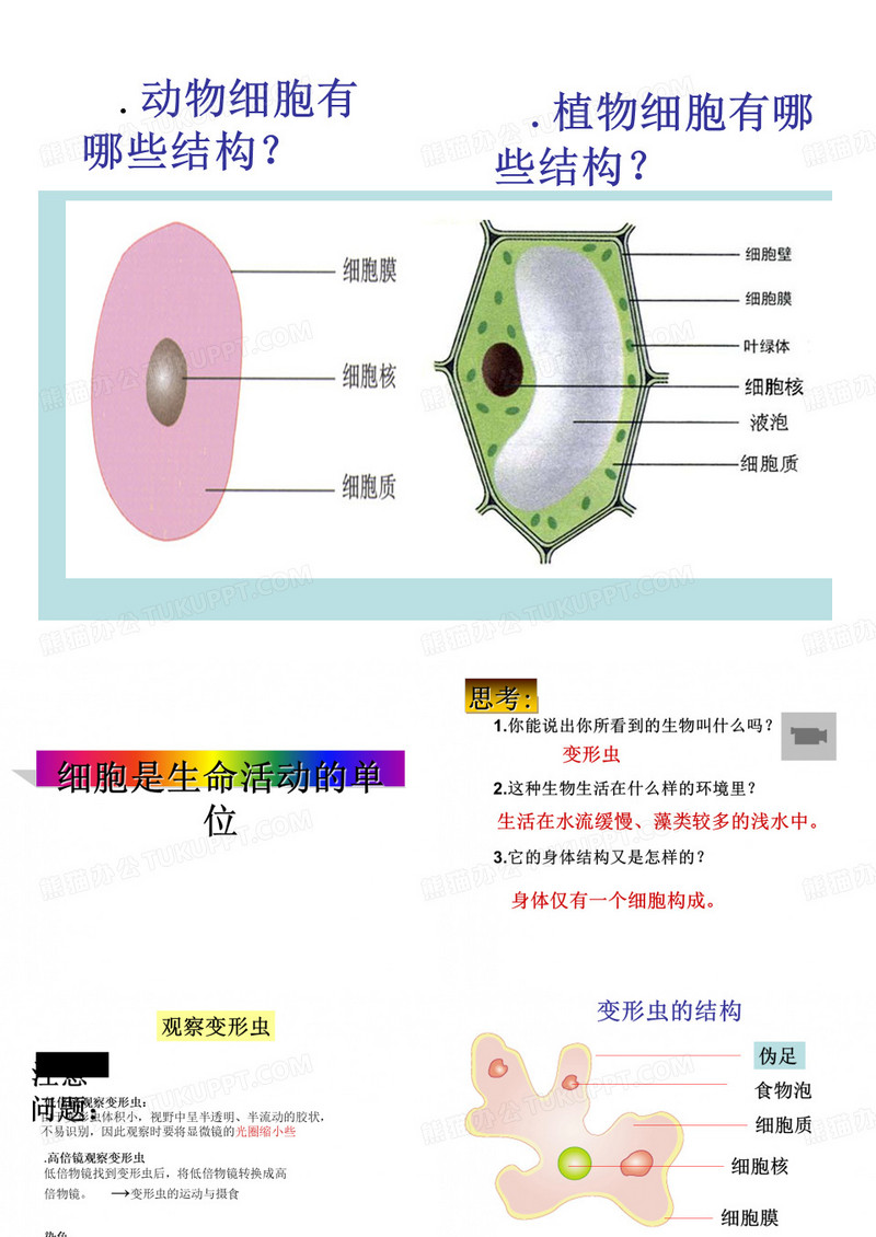 细胞是生命活动的基本单位