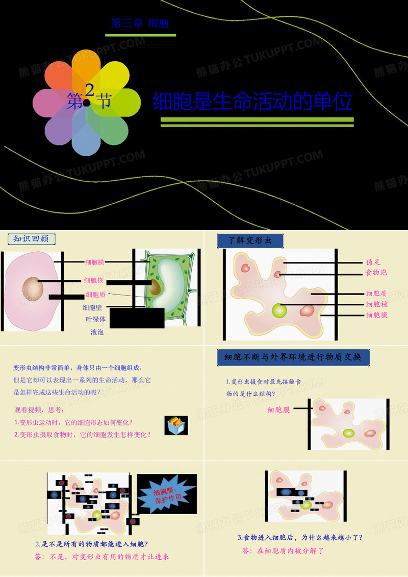 细胞是生命活动的基本单位