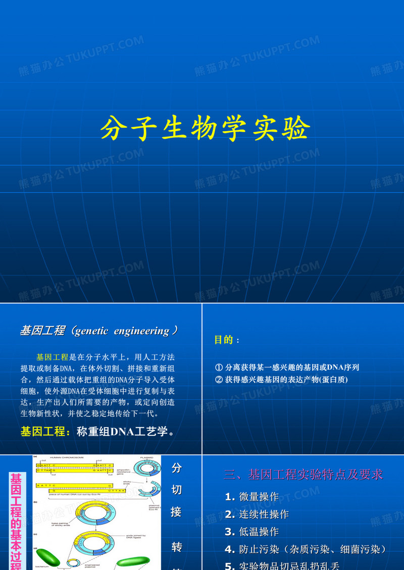 质粒大提