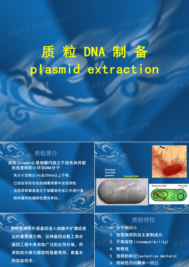 质粒抽提