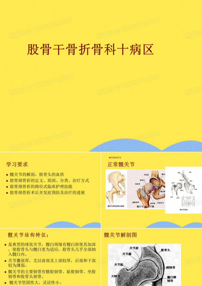 股骨干骨折骨科十病区(共87张PPT)