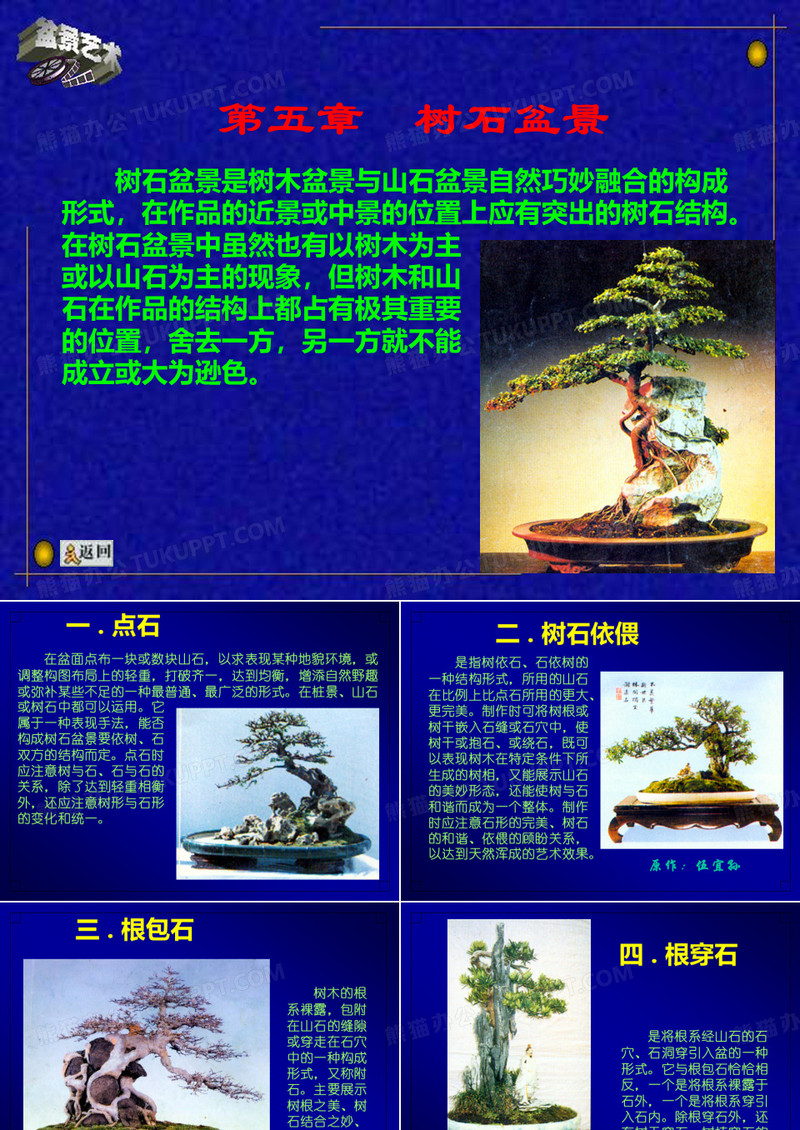 13 树石盆景与盆景鉴赏